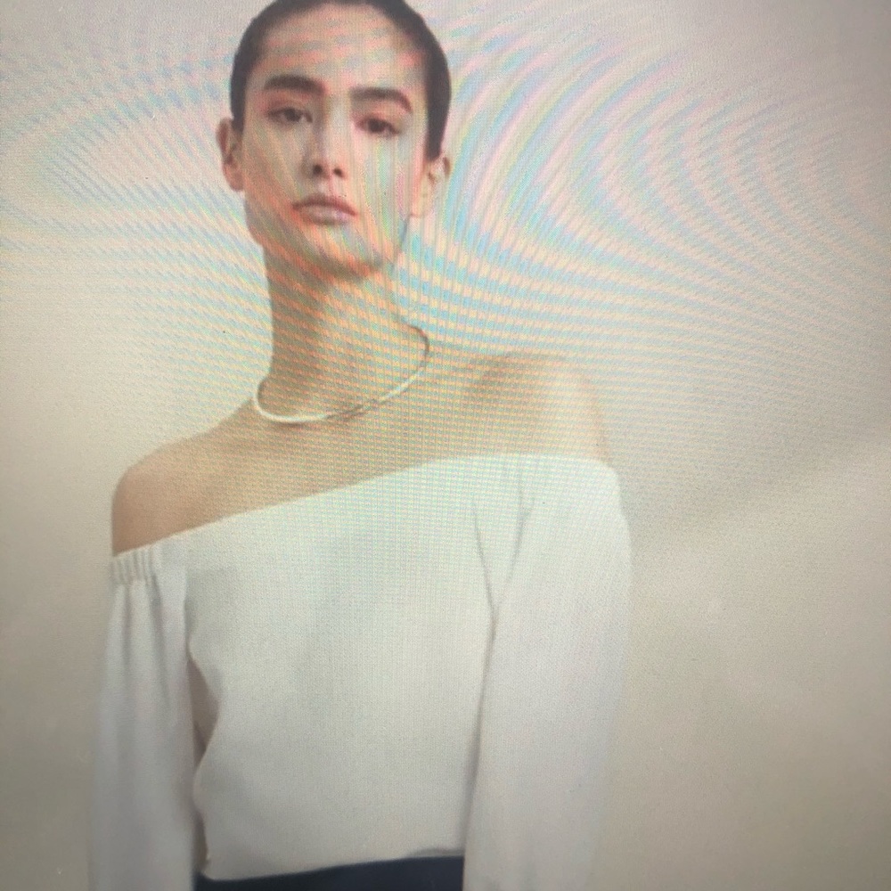 Aritzia Babaton Rodrigo Blouse